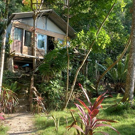 Sumatra Ecolodge Sungaipisang Екстериор снимка